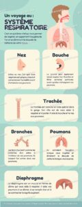 Syteme respiratoire