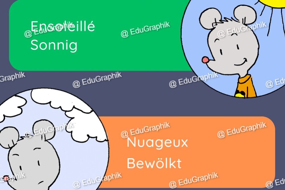 Meteo du comportement