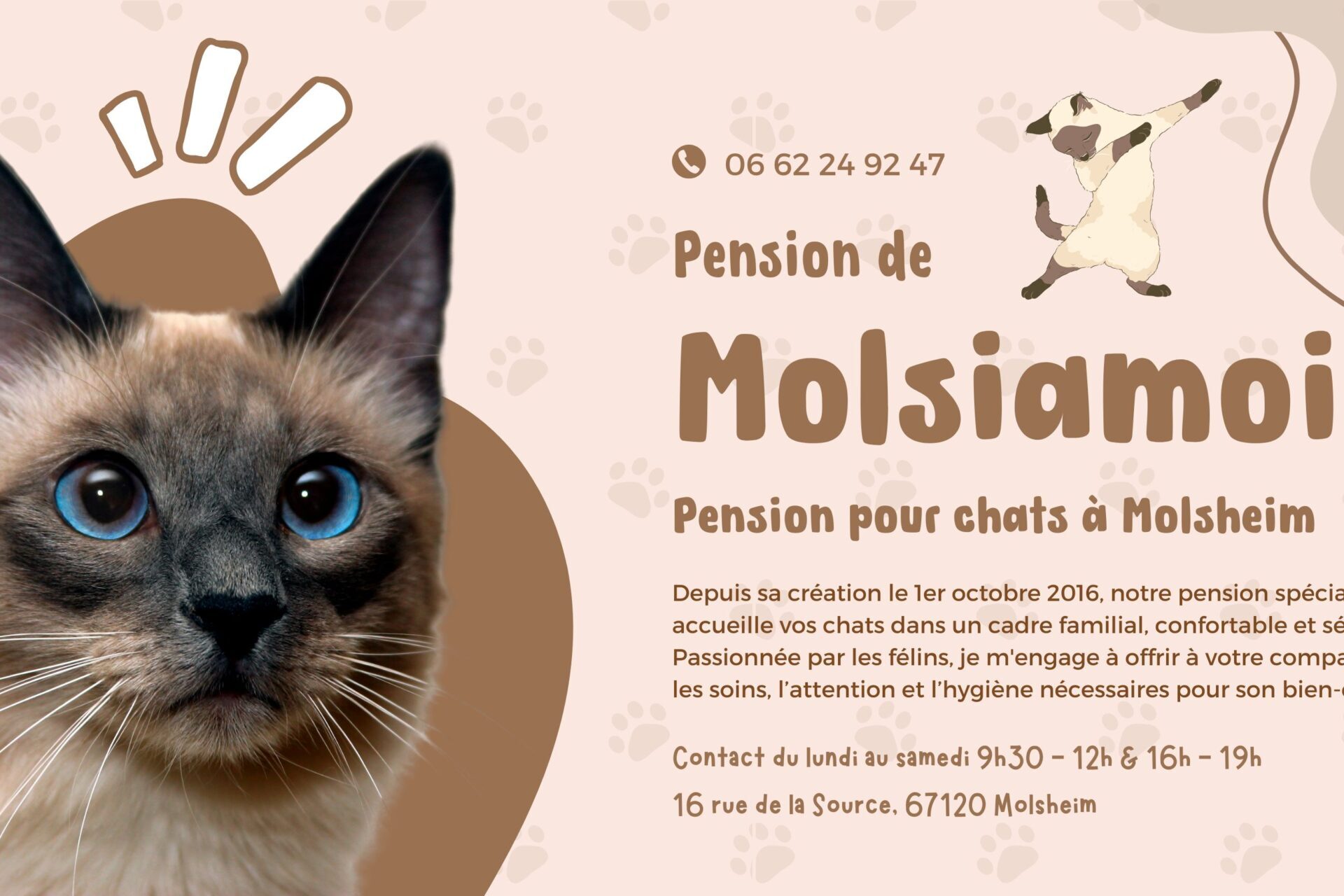 Bache pour Pension des Molsiamois 00 scaled