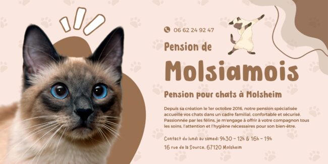 Bache pour Pension des Molsiamois 00 scaled