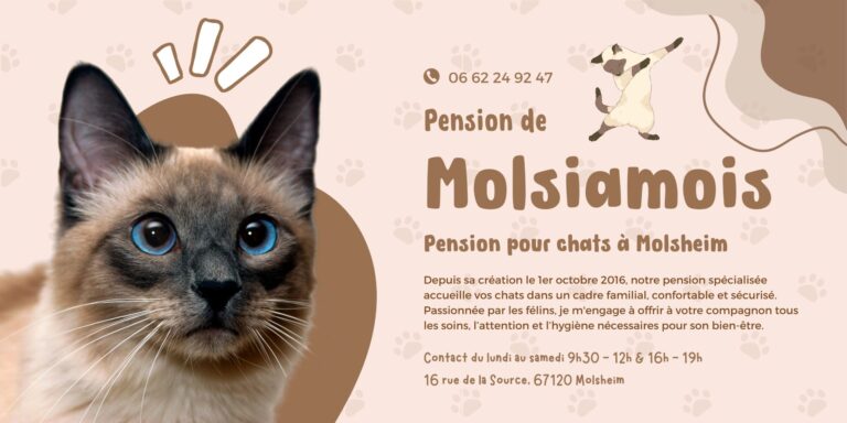 Bache pour Pension des Molsiamois 00 scaled