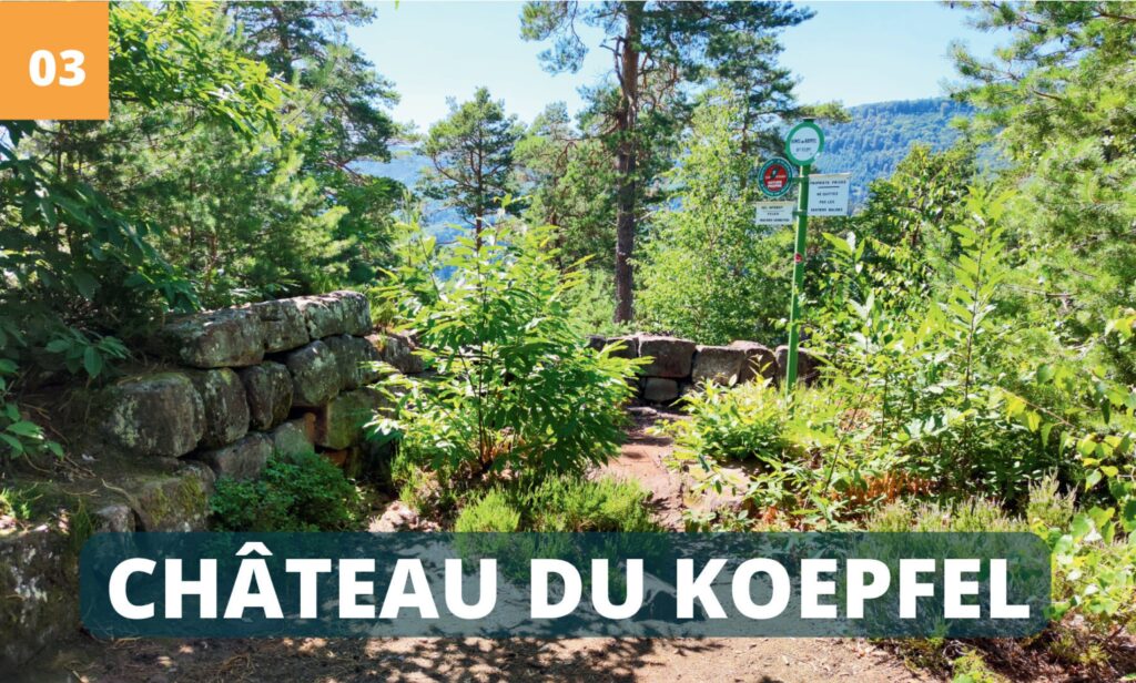 curiosites sainte odile chateau koepfel